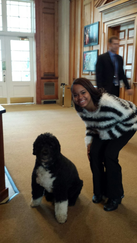 Bo the dog of the White House 